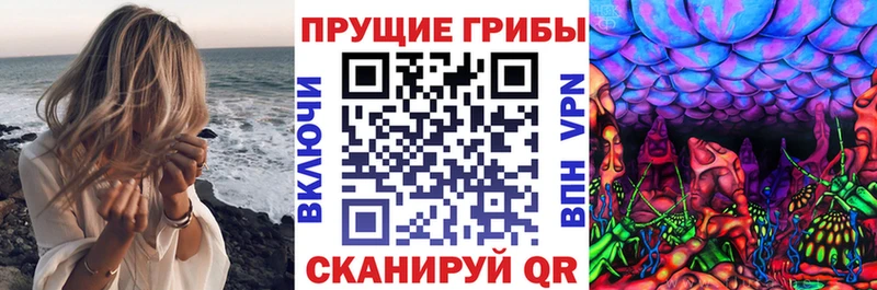 Галлюциногенные грибы Psilocybe darknet какой сайт Братск